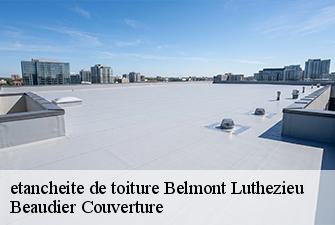 etancheite de toiture  belmont-luthezieu-01260 Beaudier Couverture 