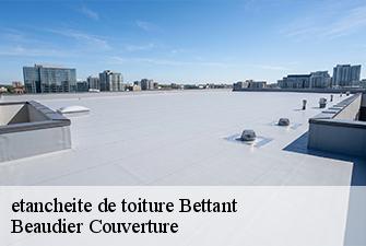 etancheite de toiture  bettant-01500 Beaudier Couverture 