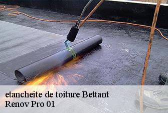 etancheite de toiture  bettant-01500 Renov Pro 01