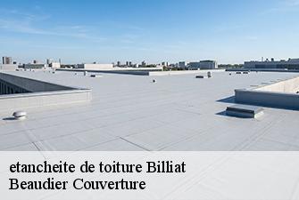 etancheite de toiture  billiat-01200 Beaudier Couverture 
