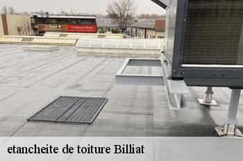 etancheite de toiture  billiat-01200 