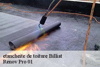 etancheite de toiture  billiat-01200 Renov Pro 01