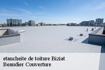 etancheite de toiture  biziat-01290 Beaudier Couverture 