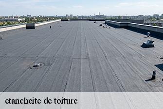 etancheite de toiture  biziat-01290 Beaudier Couverture 