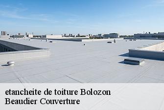 etancheite de toiture  bolozon-01450 Beaudier Couverture 