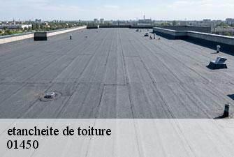 etancheite de toiture  bolozon-01450 Kenji Lagrenee Couverture