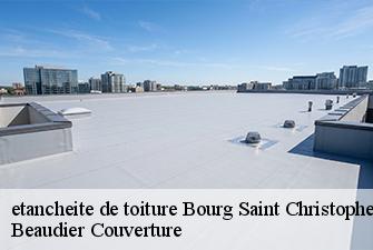 etancheite de toiture  bourg-saint-christophe-01800 Beaudier Couverture 