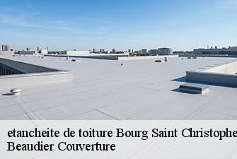 etancheite de toiture  bourg-saint-christophe-01800 Beaudier Couverture 