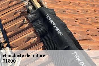 etancheite de toiture  bourg-saint-christophe-01800 