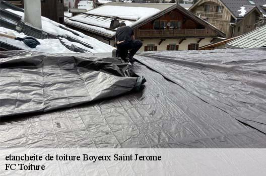 etancheite de toiture  boyeux-saint-jerome-01640 