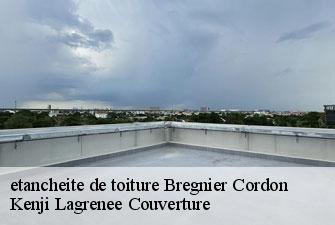 etancheite de toiture bregnier-cordon-01300 Kenji Lagrenee Couverture