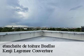 etancheite de toiture  buellas-01310 Kenji Lagrenee Couverture