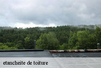 etancheite de toiture  cerdon-01450 Kenji Lagrenee Couverture