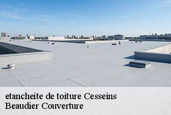 etancheite de toiture  cesseins-01090 Beaudier Couverture 