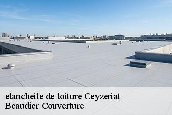 etancheite de toiture  ceyzeriat-01250 Beaudier Couverture 