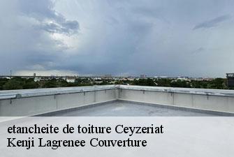 etancheite de toiture ceyzeriat-01250 Kenji Lagrenee Couverture