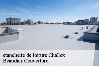 etancheite de toiture  challex-01630 Beaudier Couverture 