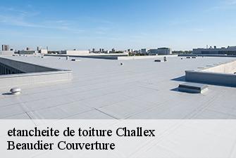 etancheite de toiture  challex-01630 Beaudier Couverture 