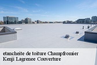 etancheite de toiture  champfromier-01410 Kenji Lagrenee Couverture
