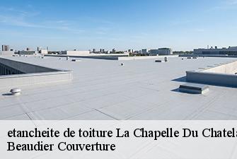 etancheite de toiture  la-chapelle-du-chatelard-01240 Beaudier Couverture 