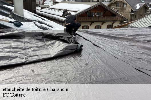 etancheite de toiture  charancin-01260 