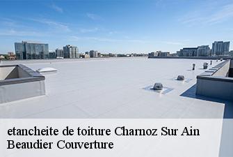 etancheite de toiture  charnoz-sur-ain-01800 Beaudier Couverture 