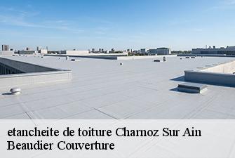etancheite de toiture  charnoz-sur-ain-01800 Beaudier Couverture 