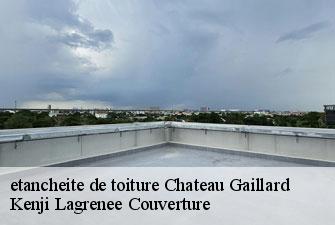 etancheite de toiture chateau-gaillard-01500 Kenji Lagrenee Couverture