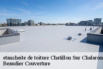 etancheite de toiture  chatillon-sur-chalaronne-01400 Beaudier Couverture 