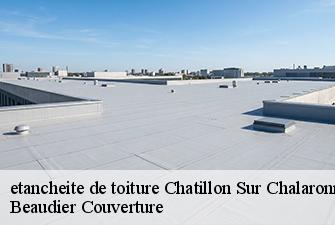 etancheite de toiture  chatillon-sur-chalaronne-01400 Beaudier Couverture 