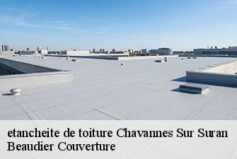 etancheite de toiture  chavannes-sur-suran-01250 Beaudier Couverture 