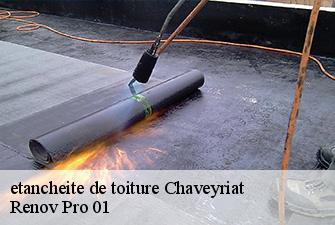 etancheite de toiture  chaveyriat-01660 Renov Pro 01