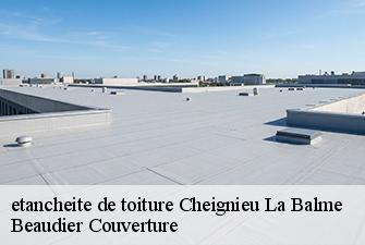 etancheite de toiture  cheignieu-la-balme-01510 Beaudier Couverture 