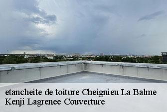 etancheite de toiture cheignieu-la-balme-01510 Kenji Lagrenee Couverture