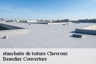 etancheite de toiture  chevroux-01190 Beaudier Couverture 