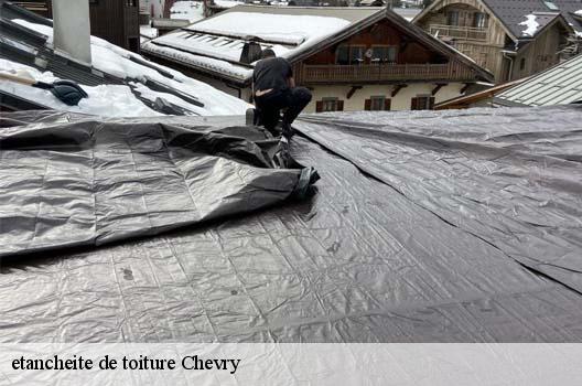 etancheite de toiture  chevry-01170 