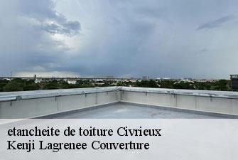 etancheite de toiture civrieux-01390 Kenji Lagrenee Couverture