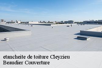 etancheite de toiture  cleyzieu-01230 Beaudier Couverture 