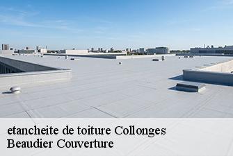 etancheite de toiture  collonges-01550 Beaudier Couverture 