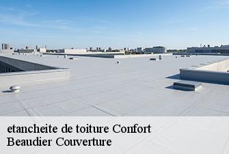 etancheite de toiture  confort-01200 Beaudier Couverture 