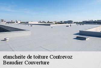 etancheite de toiture  contrevoz-01300 Beaudier Couverture 