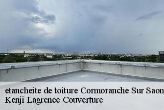 etancheite de toiture cormoranche-sur-saone-01290 Kenji Lagrenee Couverture