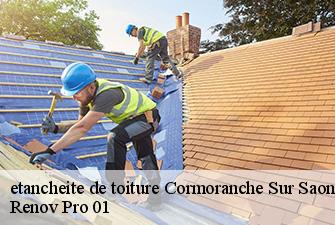 etancheite de toiture  cormoranche-sur-saone-01290 Renov Pro 01