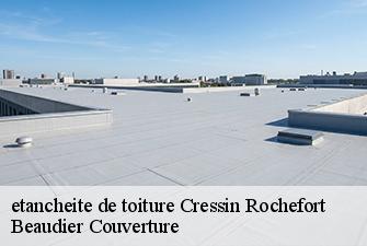 etancheite de toiture  cressin-rochefort-01350 Beaudier Couverture 