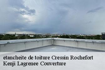 etancheite de toiture cressin-rochefort-01350 Kenji Lagrenee Couverture