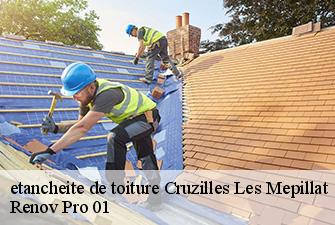 etancheite de toiture  cruzilles-les-mepillat-01290 Renov Pro 01