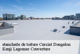 etancheite de toiture curciat-dongalon-01560 Kenji Lagrenee Couverture