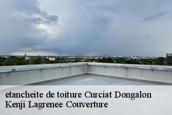 etancheite de toiture curciat-dongalon-01560 Kenji Lagrenee Couverture