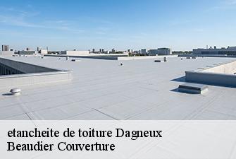 etancheite de toiture  dagneux-01120 Beaudier Couverture 