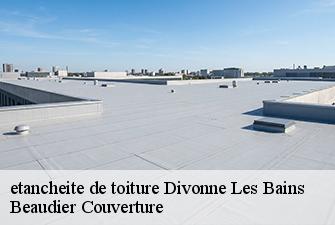 etancheite de toiture  divonne-les-bains-01220 Beaudier Couverture 